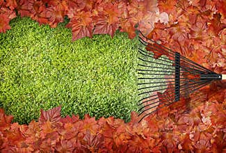 Raking leaves