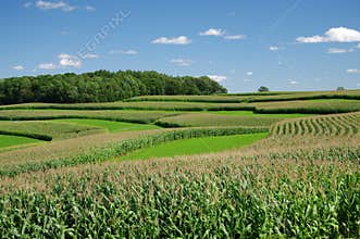 Contour Strip Farming
