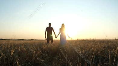 A man and a woman in love walk in a wheat field during a colorful summer sunset