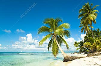 Idyllic tropical beach