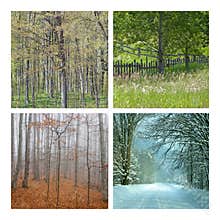 Four Seasons Nature Collage