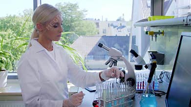 Female scientist working in modern lab. Doctor making microbiology research. Biotechnology, chemistry, bacteriology