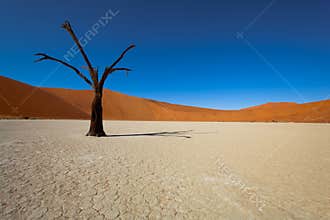 Namibia desert