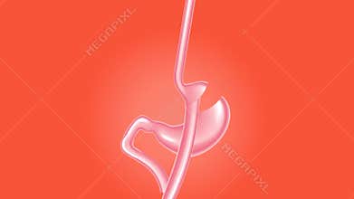 Footage of human inside body parts .