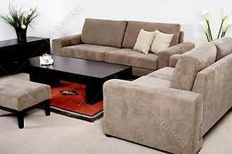 Classic furniture in a modern living room