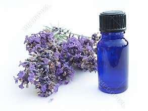 Lavender with herb