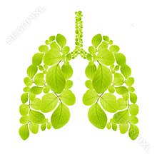 Tree Campaign. Green leaves combine as the lung. Environmental protection. Ecological lungs isolated icon.
