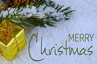 A shiny gold present laying in snow next to a pine bough.