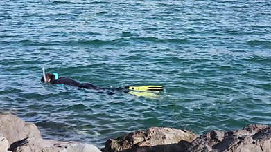 Snorkeling Adriatic