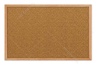 Blank Cork board