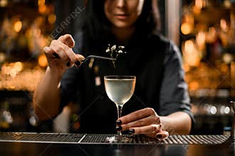Close-up of bartender adding small branch in cocktail