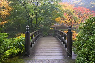 Wooden Bridge at Japanese Garden in Fall