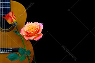 Classic spanish acoustic guitar with rose flowers