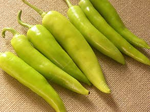 Yellow color Banana peppers