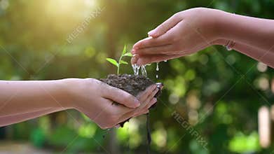People are planting and watering plants in their hands. There are trees, ideas for preserving nature and the environment