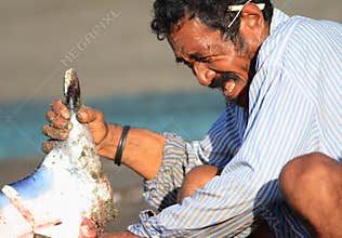 Lamalera whaler cuts mantas on a beach