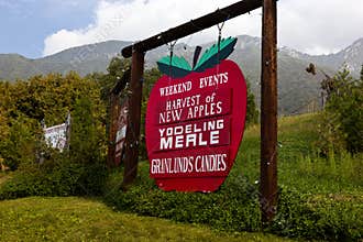 Harvest Festival, Apple Picking