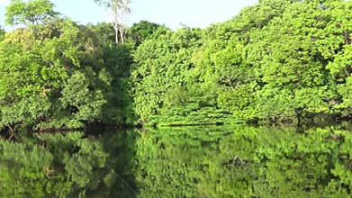 Sailing on the Rio Negro waters and its branches