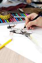 Fashion Designer