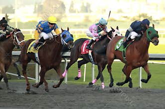 Horse Race