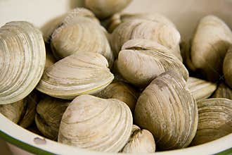 Clams in a Bowl