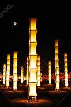 Lights