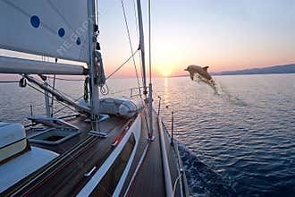 Doplhin jumping near sailing boat