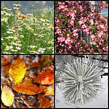 Four seasons