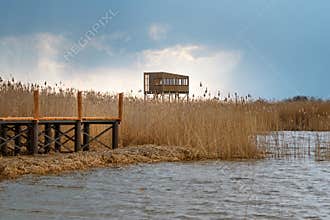 Bird observation platform by lake Zuvintas in Lithuania, birdwatching, wildlife, nature reserve