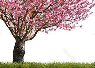 Glorious spring