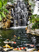 A fishing pond at a temple in Asia
