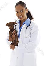 Veterinarian