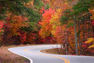 Fall S-curves