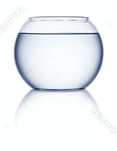 Empty fish bowl