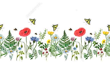 Watercolor wild flowers seamless border. Hand drawn floral field background. Poppy, blue cornflower, clover, cosmos, daisy