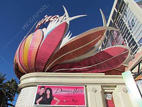 Pink Flamingo,Las vegas