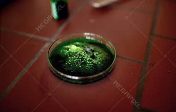 Green microscopic gel in glass in lab