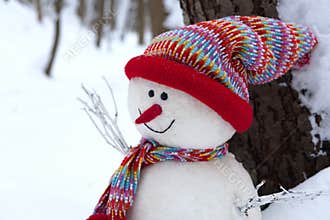 Snowman in winter landscape