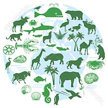 Animals and biodiversity