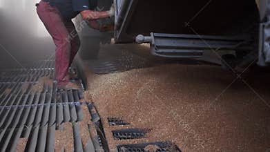 2021-06-09 Mariupol, Ukraine. Ukrtransagro LLC. Grain lorry unloading on an elevating hydraulic platform unloader at