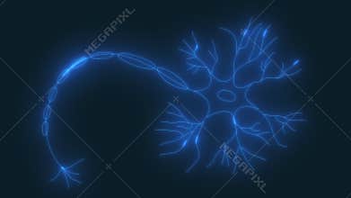 An abstract neon nerve cell with axon branches, nucleus, and dendrites.
