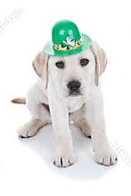 St Patricks Day