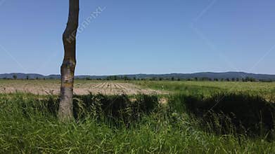 green meadows and dry fields in bavaria a sunny day Filmed in UHD 4k