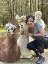 Brunette woman playing with cute alpacas at an eco farm in Poland