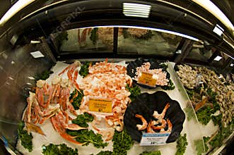 Fresh seafood