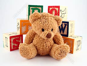 Bear and Blocks