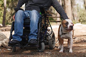 Man in a wheelchair with his faithful dog.