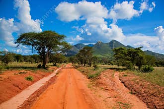 Red ground road, bush with savanna. Tsavo West, Kenya, Africa