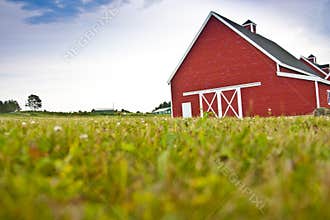 Red Barn in a Field