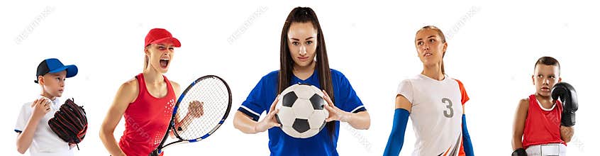 Team of professional sportsmen in sports uniform over white background. Tennis, football, baseball and volleyball